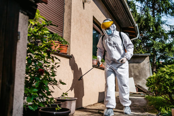 Best Emergency Pest Control  in Parkers Prairie, MN