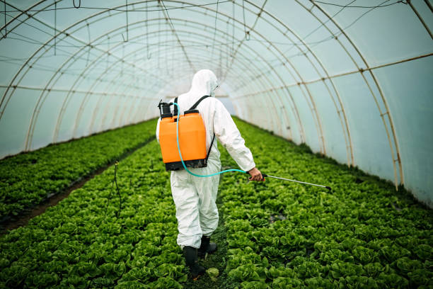 Best Emergency Pest Control  in Parkers Prairie, MN