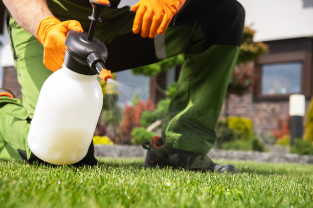 Best Local Pest Control Services  in Parkers Prairie, MN