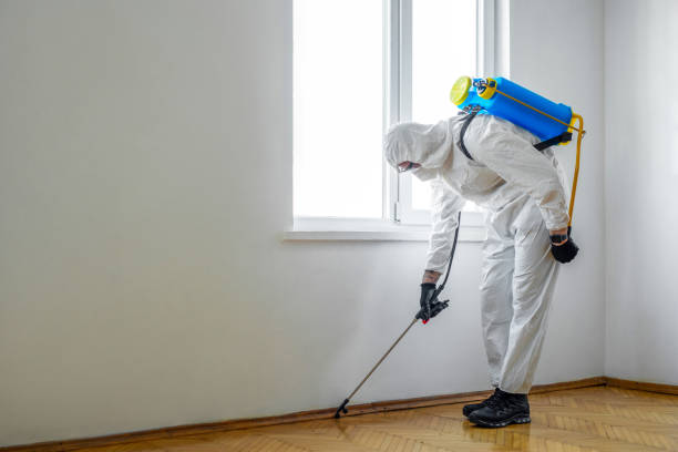 Best Affordable Pest Control Services  in Parkers Prairie, MN