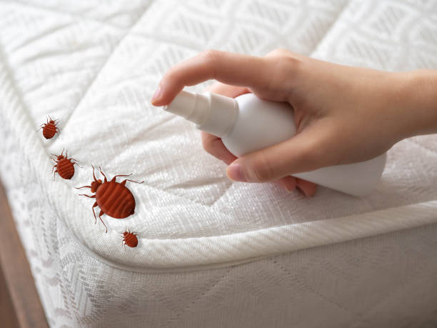 Best Affordable Pest Control Services  in Parkers Prairie, MN