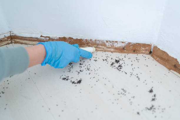  Parkers Prairie, MN Pest Control Pros