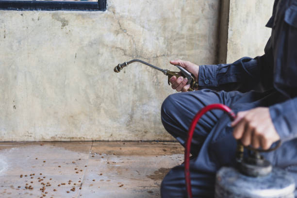 Best Pest Removal Services  in Parkers Prairie, MN