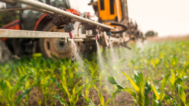 Best Pest Prevention Services  in Parkers Prairie, MN